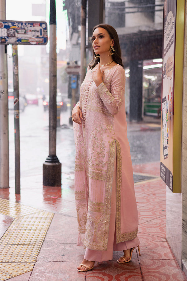 3 Piece Embroirdered Chiffon Carina - FW50061