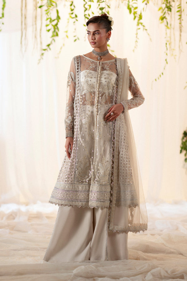 MEIRAV - MS50387